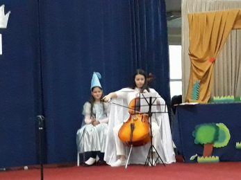 violoncelo